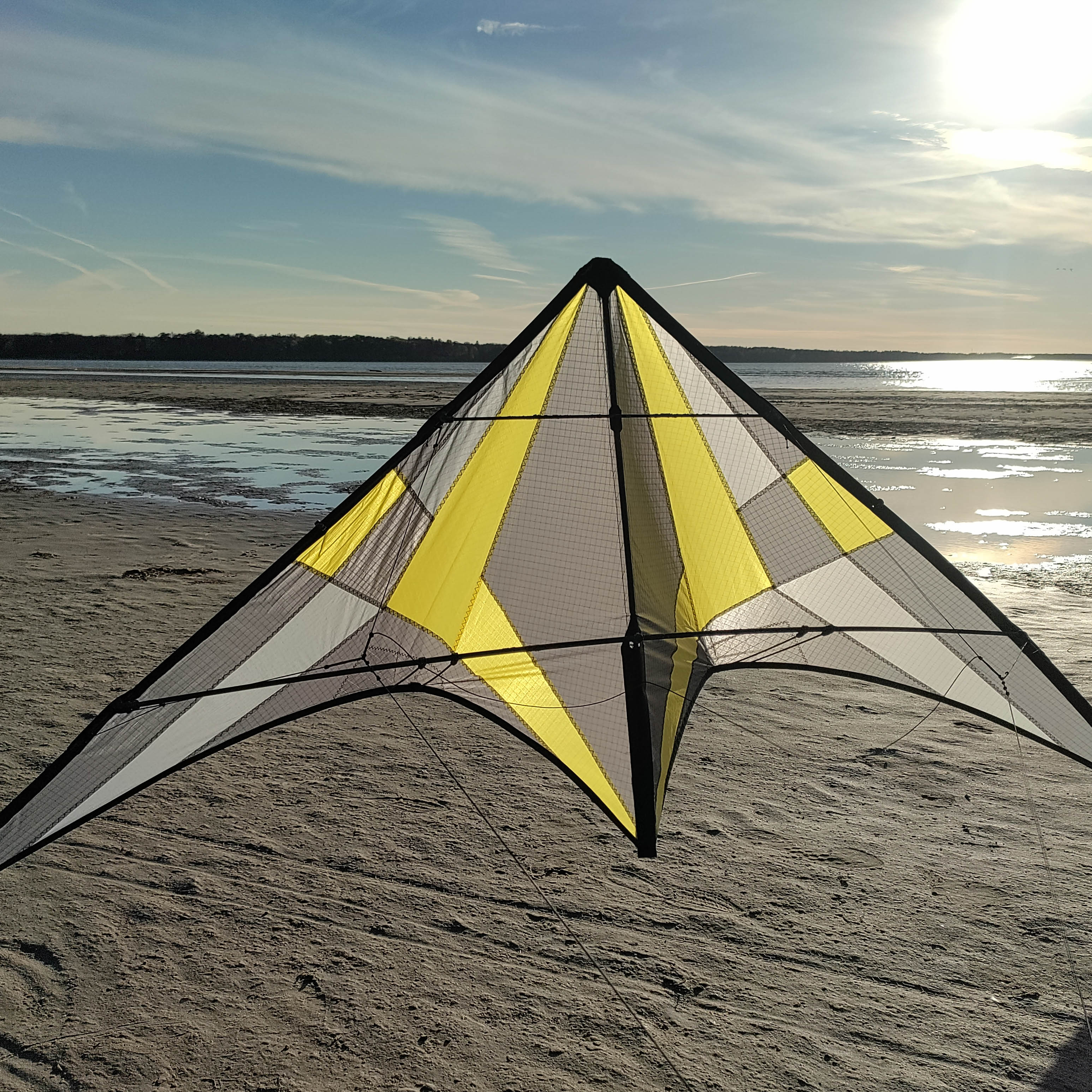 Sport Kite 6
